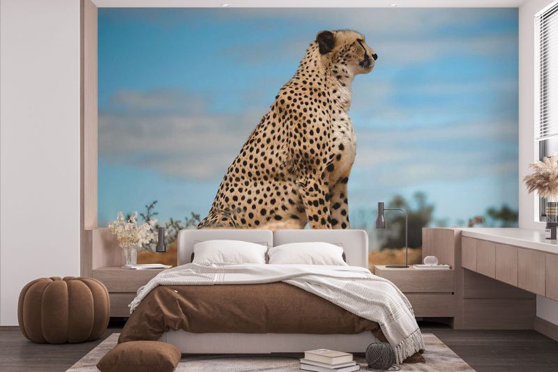 813011_mockup1 813011_mockup1