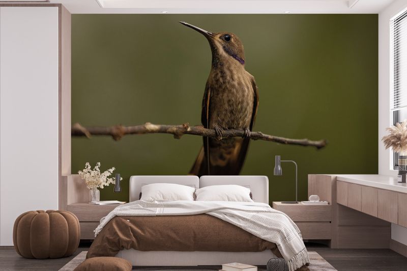 813003_mockup2 813003_mockup2