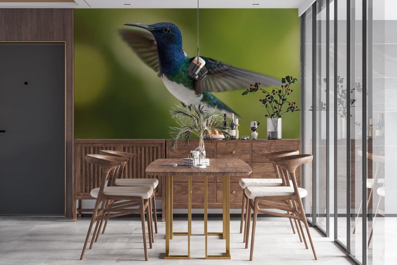 813006_mockup1 813006_mockup1