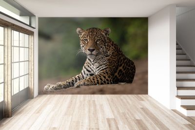 813015_mockup2 813015_mockup2
